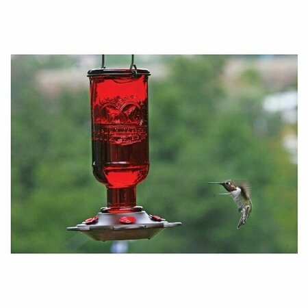 MORE BIRDS Elixir Antique Glass Hummingbird Feeder 38-ELIX